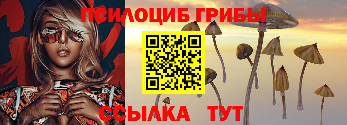 Галлюциногенные грибы Cubensis  Галлюциногенные грибы мухоморы  Гагарин  Вход с VPN 